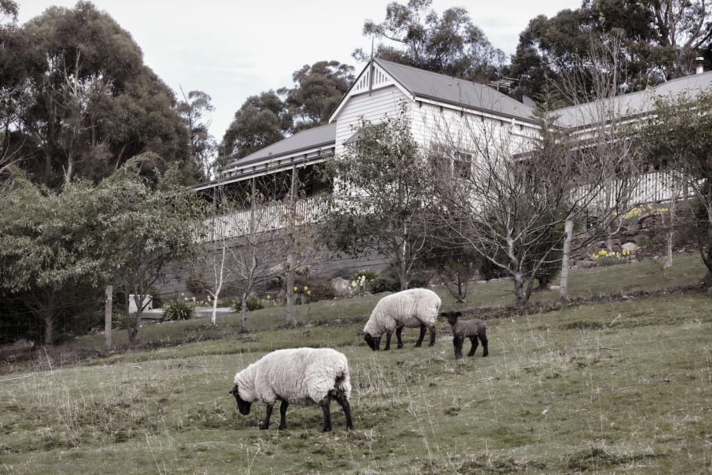 House On The Hill Bed And Breakfast Huonville Exterior photo
