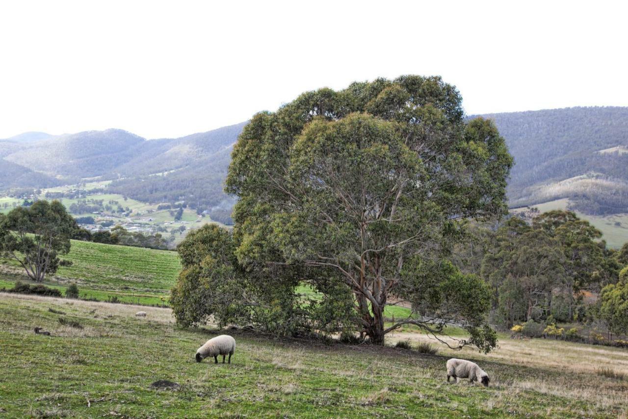 House On The Hill Bed And Breakfast Huonville Exterior photo